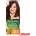 Garnier Боя за коса Garnier Naturals кестеняв №4