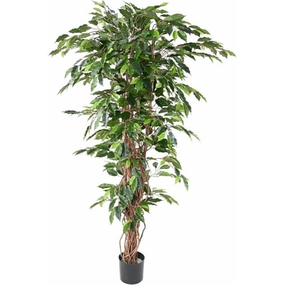 Umělý strom Fíkus přírodní kmen liány, 180cm