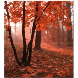 DIMEX ART Флизелинов фототапет гора в мъгла 225 x 250 см