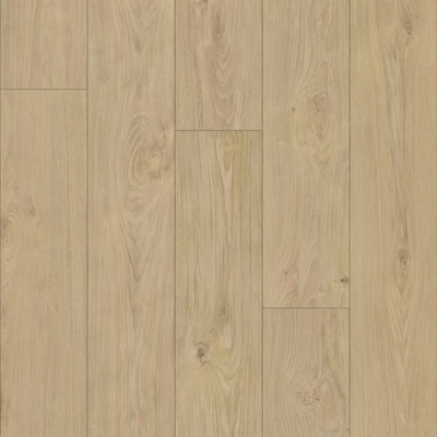 SolidStep Living Aqua Dub Coast EX 8ATK847SSPP 2.26 m²