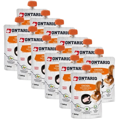 ONTARIO Cat пилешка вкусна месна паста 12 x 90 г