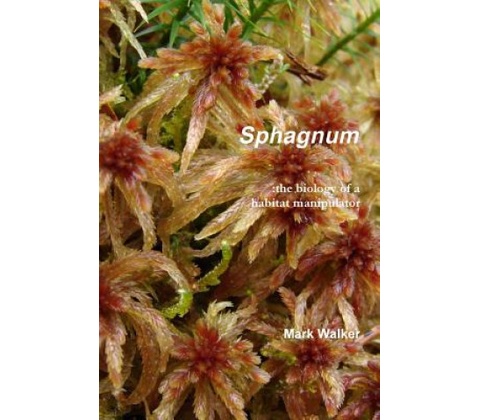 Sphagnum