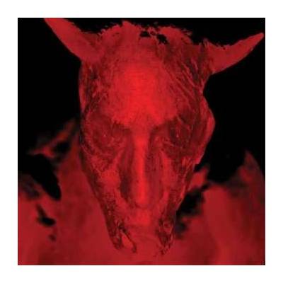 Diamanda Galás - Broken Gargoyles CD