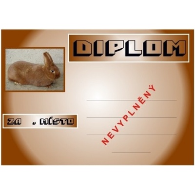 Králík novozelandský červený diplom A4