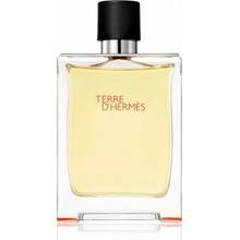 Hermès Terre D'Hermès toaletná voda pánska 100 ml
