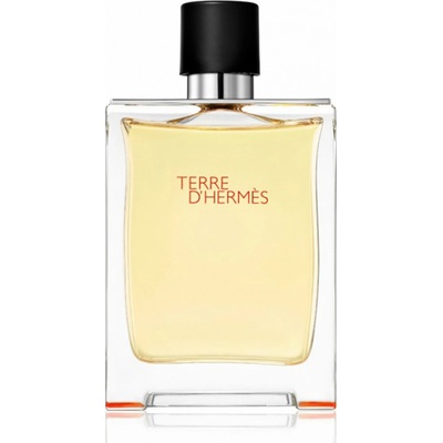 Hermès Terre D'Hermès toaletná voda pánska 100 ml