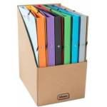 Idena 11097 - Eco ring binders made of cardboard in DIN A4, 12 colored folders with 20 mm spine width and 2-ring mechanism, elastic band at the corner