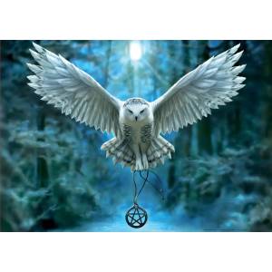 Educa - Puzzle Anne Stokes: Awake Your Magic - 500 piese