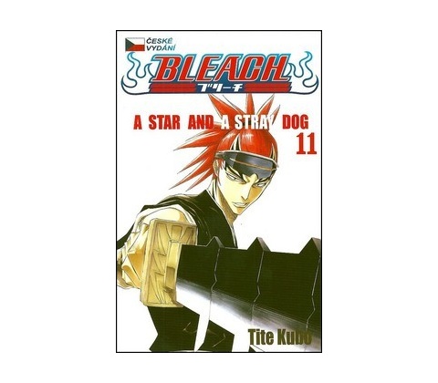 Bleach 11