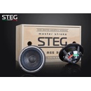STEG MSS3