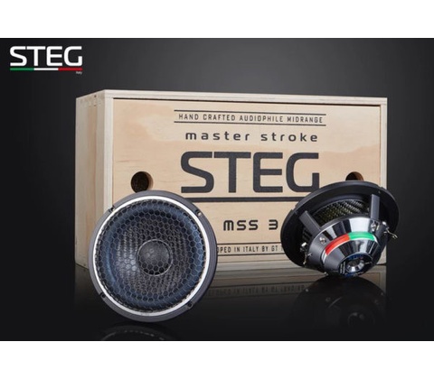 STEG MSS3