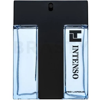 Ted Lapidus TL Intenso EDT 100 ml