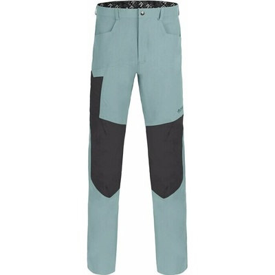 Direct Alpine Mordor short 1.0