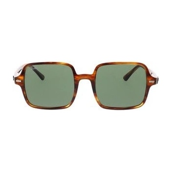 Ray-Ban RB1973 954 31