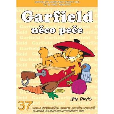 Garfield něco peče č. 37 - Davis Jim