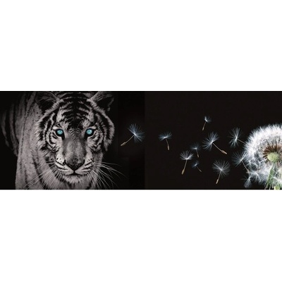 Preinterier Fototapeta - FT0223 - vlies - 832cm x 254cm