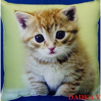 Dadka vankúš Mačiatko na zelenom 40x40