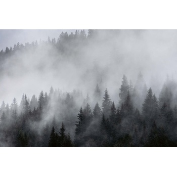 DIMEX ART s. r. o Флизелинов фототапет мъгла 375 x 250 см