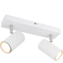 Image 1 of GLOBO Robby 57911-2W