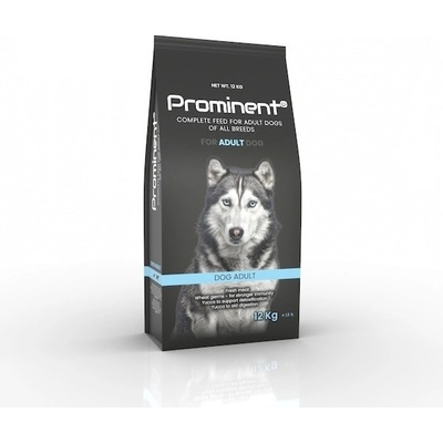 Prominent dog Adult 12 kg