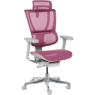 Ergohuman Ергономичен стол ergohuman ioo elite 2 - сива рамка - розов