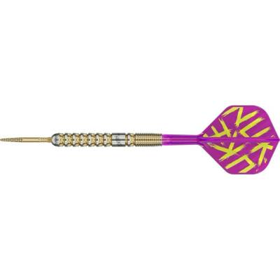 steel Target SP Luke Littler G1 Prodigy 24g, 90% wolfram 22g
