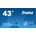 iiyama LE4340UHS