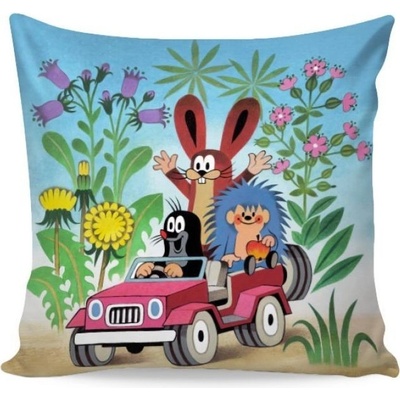 Matějovský Krtek v autě 40 x 40 cm – Sleviste.cz