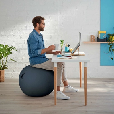 Leitz Ergo Cosy 52790061