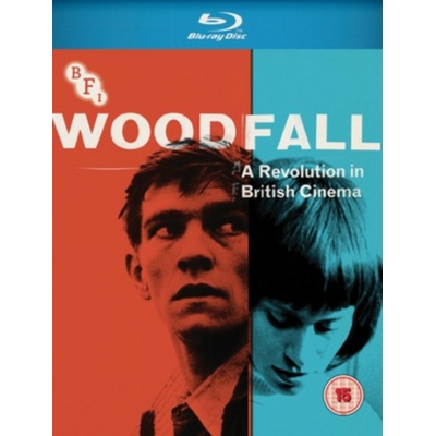 Woodfall: A Revolution in British Cinema BD