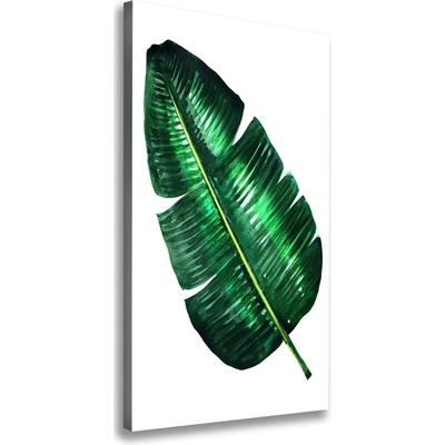 Vertikálny foto obraz na plátne List banánovníka 50x100 cm
