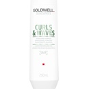 Goldwell Dualsenses Curls And Waves šampon 250 ml