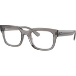 Ray-Ban Chad RX7217 8263