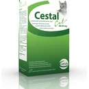 Veterinárne prípravky Cestal žuvacie tablety pre mačky 80 mg / 20 mg 8 tbl
