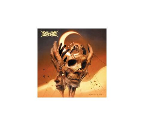 INGESTED - ASHES LIE STILL LTD. LP