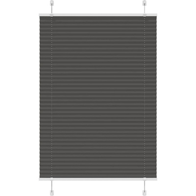 vidaXL Плисирана щора черна 100x100 cm Ширина на плата 99, 4 cm (4015126)