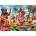 Anatolian - Puzzle Dogs Drinking at the Beach - 1 000 piese