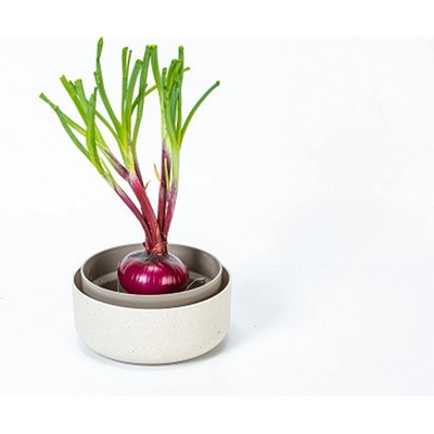 Plastia REGROW - slonová kosť