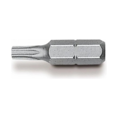 Witte TORX T 10 otvor 29480