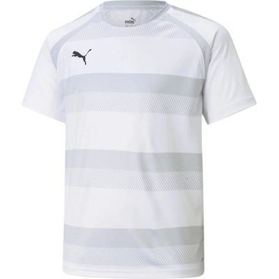 Puma dres teamVISION Jersey 70492104