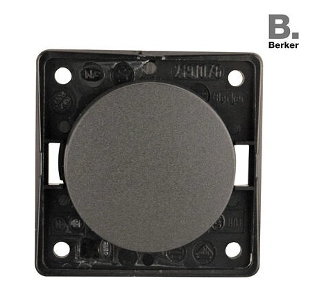 Berker integro 321/244