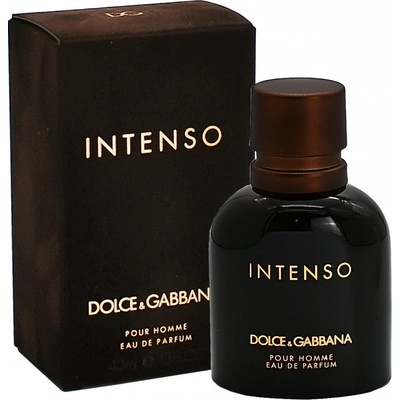 Dolce & Gabbana Intenso parfémovaná voda pánská 40 ml