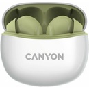 Canyon TWS-5