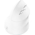Eternico Wireless Vertical Mouse MVS490 AET-MVS490W