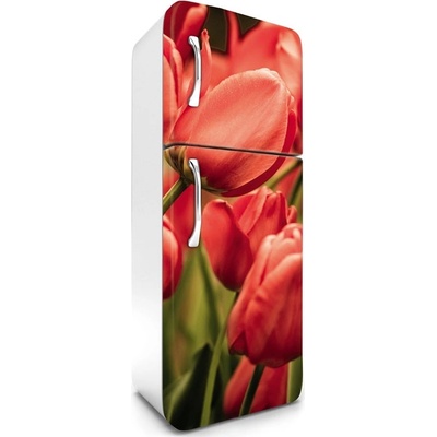 Dimex FR180-012 Samolepící fototapeta na lednice Red Tulips rozměry 65 x 180 cm
