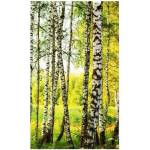 DIMEX ART Флизелинов фототапет брезова гора 150 x 250 см