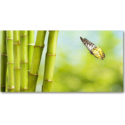 Foto obraz sklo tvrzené Bambus a motýľ 100x50 cm