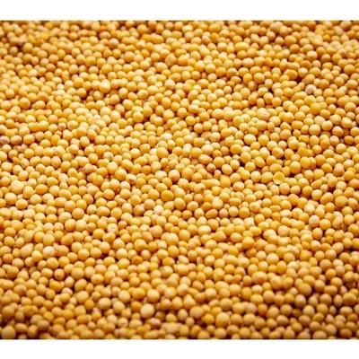 Microgreens Slunečnice roční na 100 g
