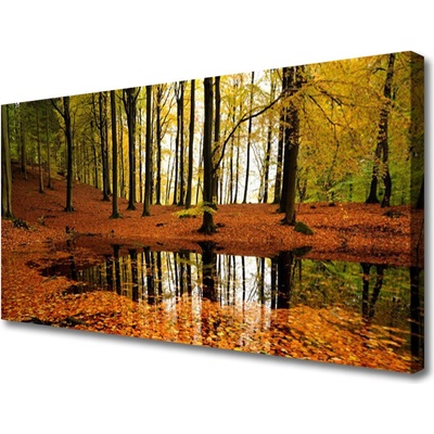 Obraz na plátně Les Příroda 100x50 cm