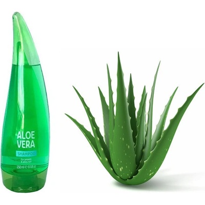 XPEL ALOE VERA Šampon na vlasy XPL40803 250 ml
